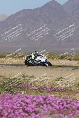 media/Feb-04-2023-SoCal Trackdays (Sat) [[8a776bf2c3]]/Turn 15 Inside Blooming (1050am)/